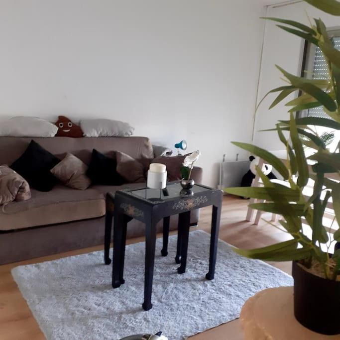 F1 Gare Saint Jean Apartment Bordeaux Luaran gambar